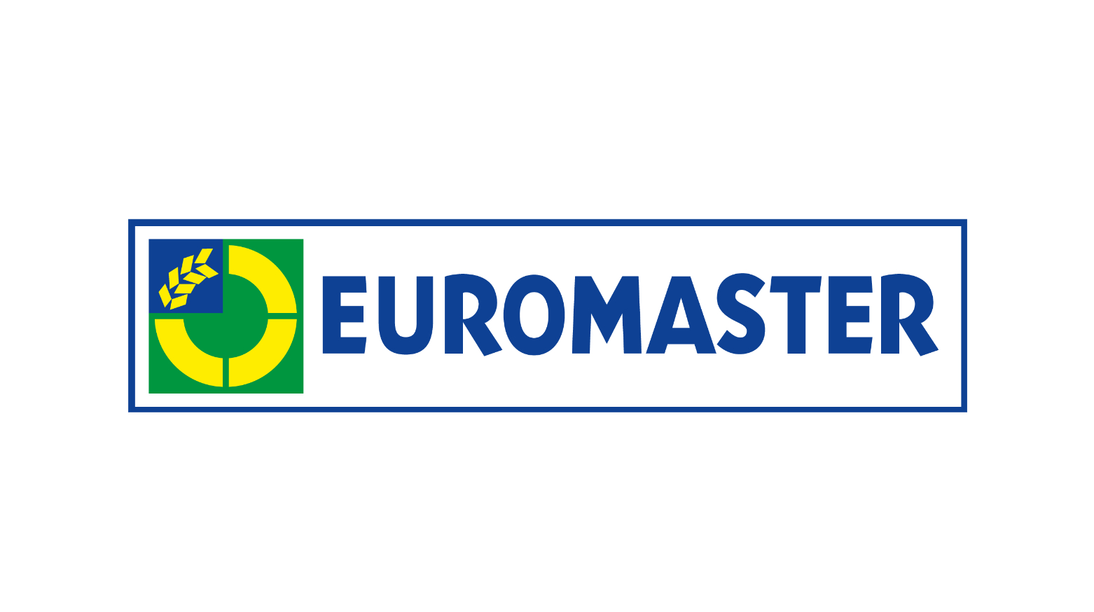 Logo EuroMaster
