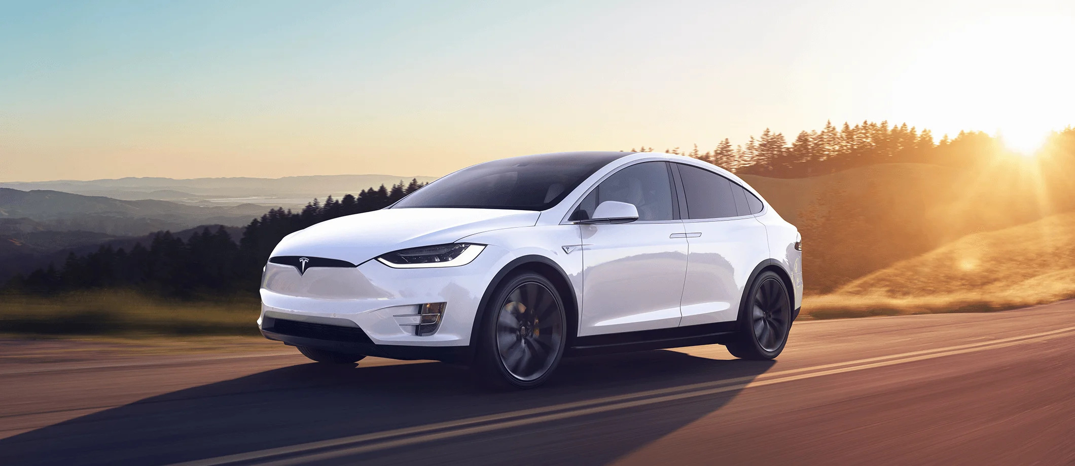 Tesla Model X met FSD